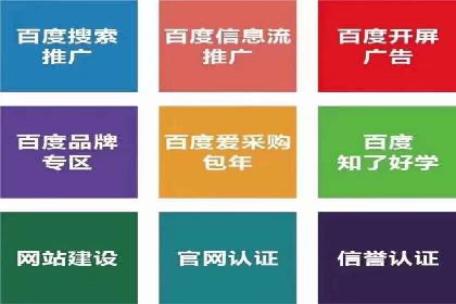 案例分析：百度竞价托管助力行业龙头